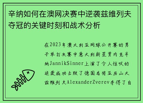 辛纳如何在澳网决赛中逆袭兹维列夫夺冠的关键时刻和战术分析