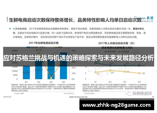应对苏格兰挑战与机遇的策略探索与未来发展路径分析
