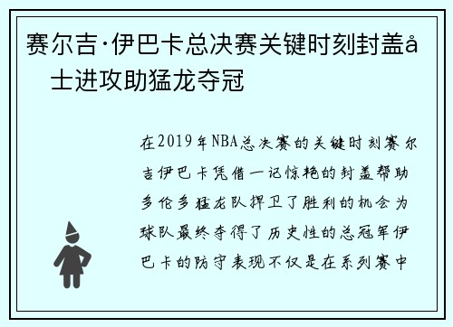 赛尔吉·伊巴卡总决赛关键时刻封盖勇士进攻助猛龙夺冠